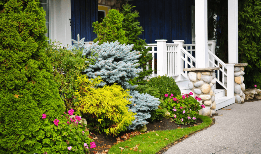 Landscaping